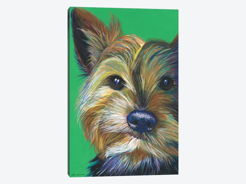 Yorkshire Terrier On Emerald by Kirstin Wood 1-piece Canvas Print