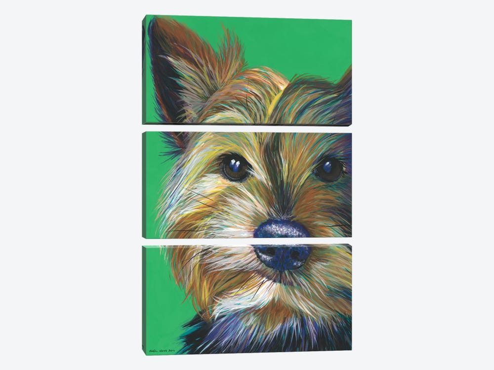 Yorkshire Terrier On Emerald by Kirstin Wood 3-piece Canvas Print
