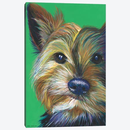 Yorkshire Terrier On Emerald Canvas Print #KWO16} by Kirstin Wood Art Print