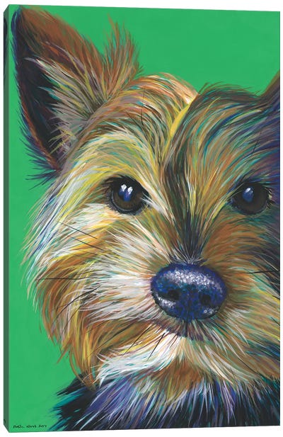 Yorkshire Terrier On Emerald Canvas Art Print - Terriers