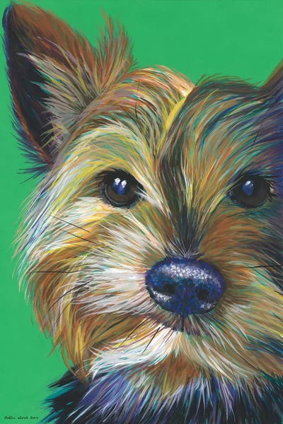 Terriers: Yorkshire Terrier On Emerald by Kirstin Wood