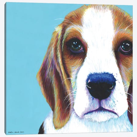 Beagle On Aqua, Square Canvas Print #KWO17} by Kirstin Wood Canvas Art Print