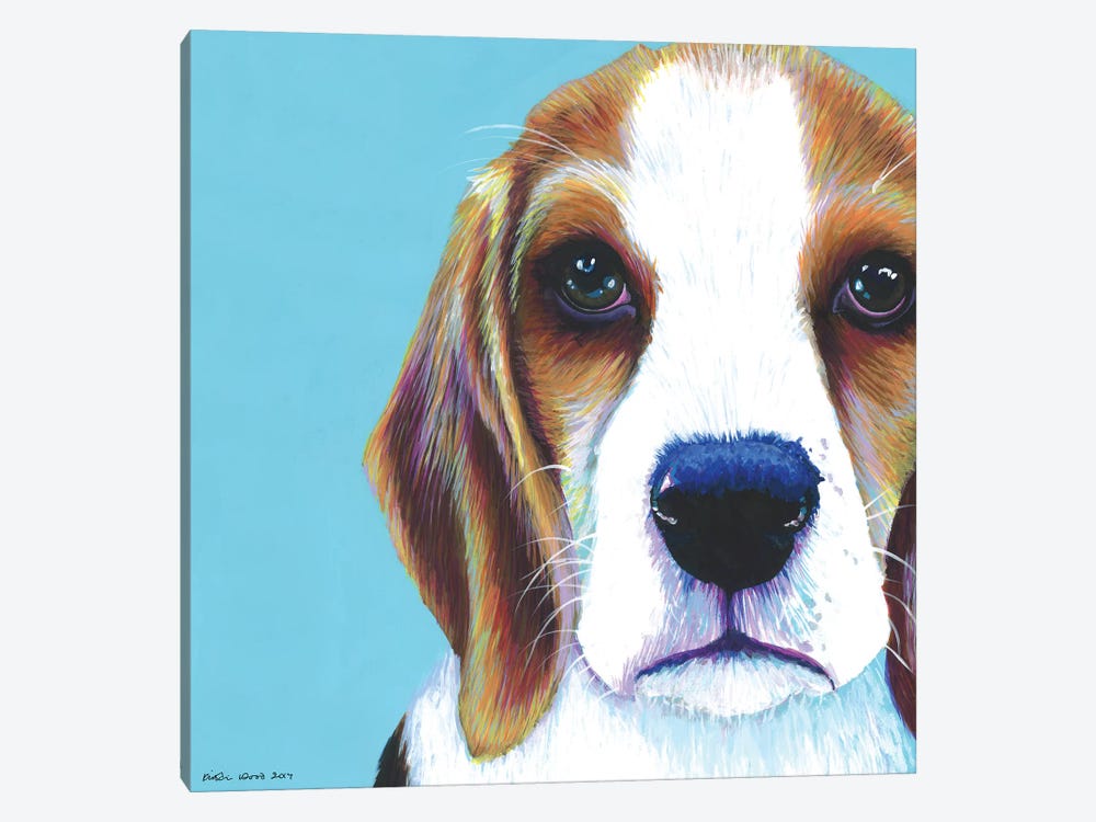 Beagle On Aqua, Square by Kirstin Wood 1-piece Canvas Wall Art