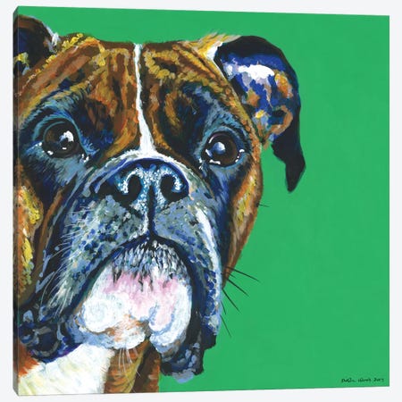 Boxer On Emerald, Square Canvas Print #KWO18} by Kirstin Wood Canvas Wall Art