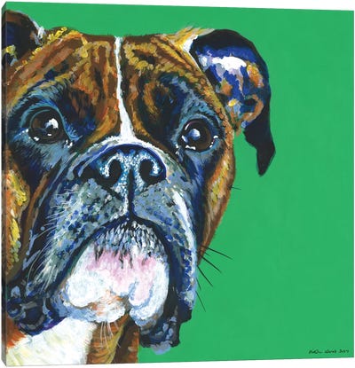Boxer On Emerald, Square Canvas Art Print - Kirstin Wood