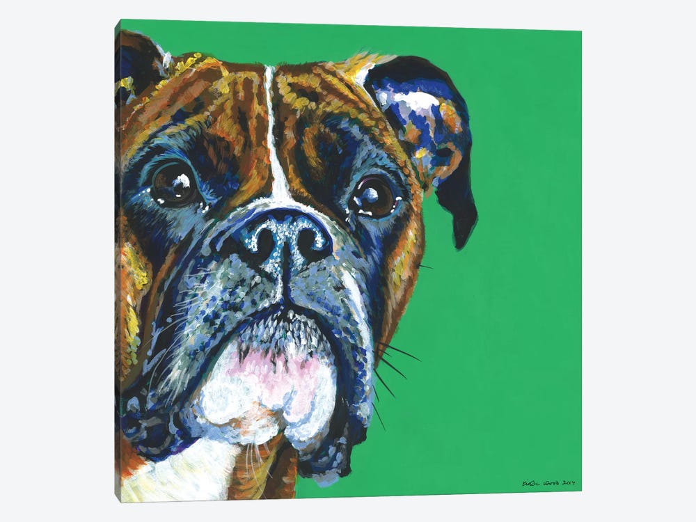 Boxer On Emerald, Square by Kirstin Wood 1-piece Canvas Art Print