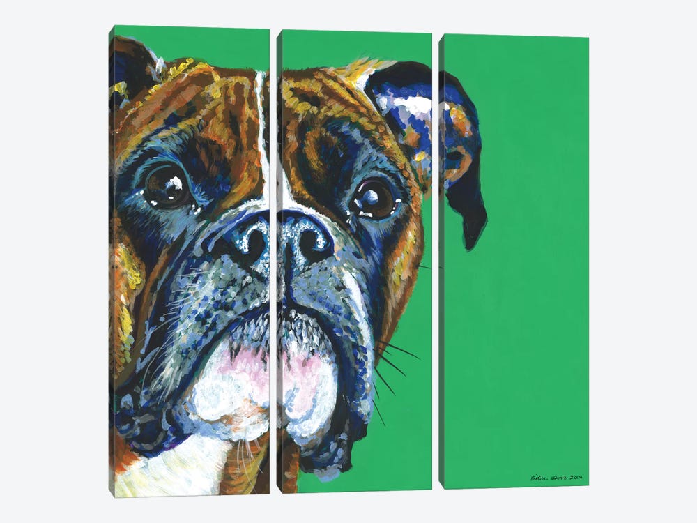 Boxer On Emerald, Square by Kirstin Wood 3-piece Canvas Art Print