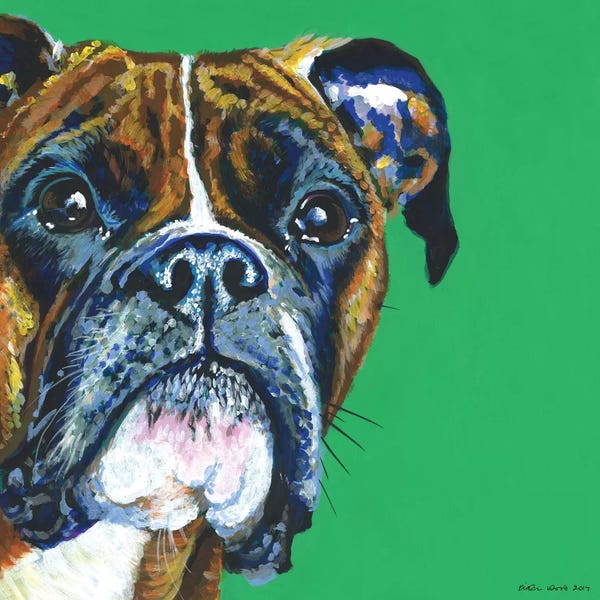 Boxers: Boxer On Emerald, Square by Kirstin Wood