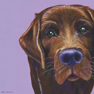 Brown Labrador On Lilac, Square by Kirstin Wood art print