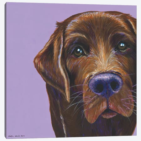 Brown Labrador On Lilac, Square Canvas Print #KWO19} by Kirstin Wood Canvas Wall Art