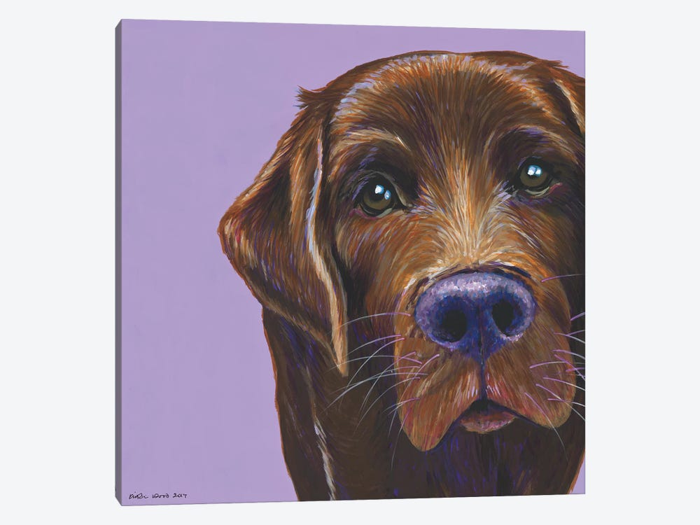 Brown Labrador On Lilac, Square by Kirstin Wood 1-piece Canvas Artwork