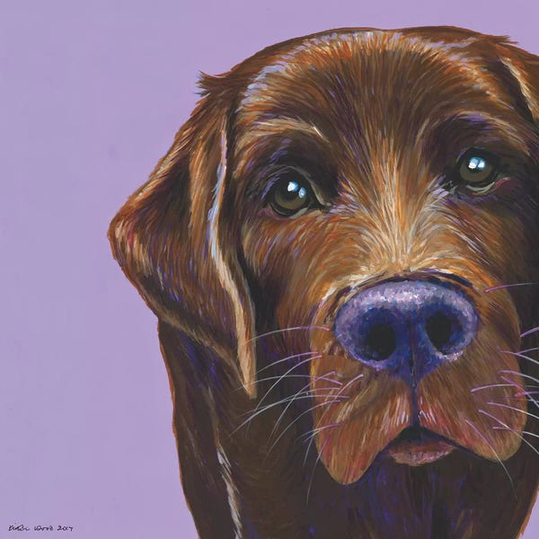Labrador Retrievers: Brown Labrador On Lilac, Square by Kirstin Wood