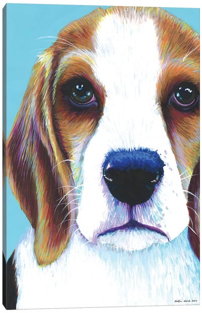 Beagle On Aqua Canvas Art Print - Kirstin Wood