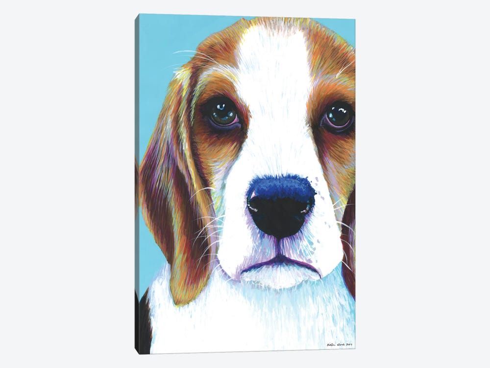Beagle On Aqua by Kirstin Wood 1-piece Canvas Wall Art