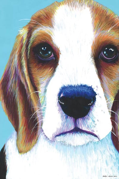 Beagles: Beagle On Aqua by Kirstin Wood