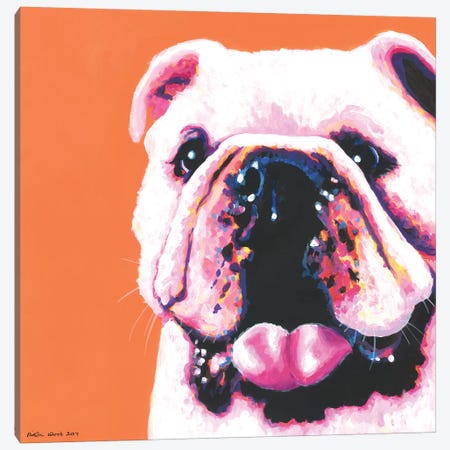 Bulldog On Orange, Square Canvas Print #KWO20} by Kirstin Wood Art Print