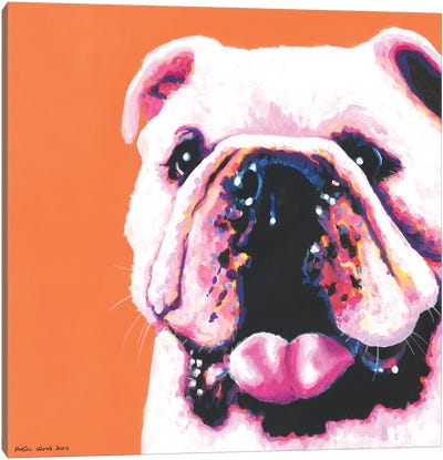 Bulldog On Orange, Square Canvas Art Print - Kirstin Wood
