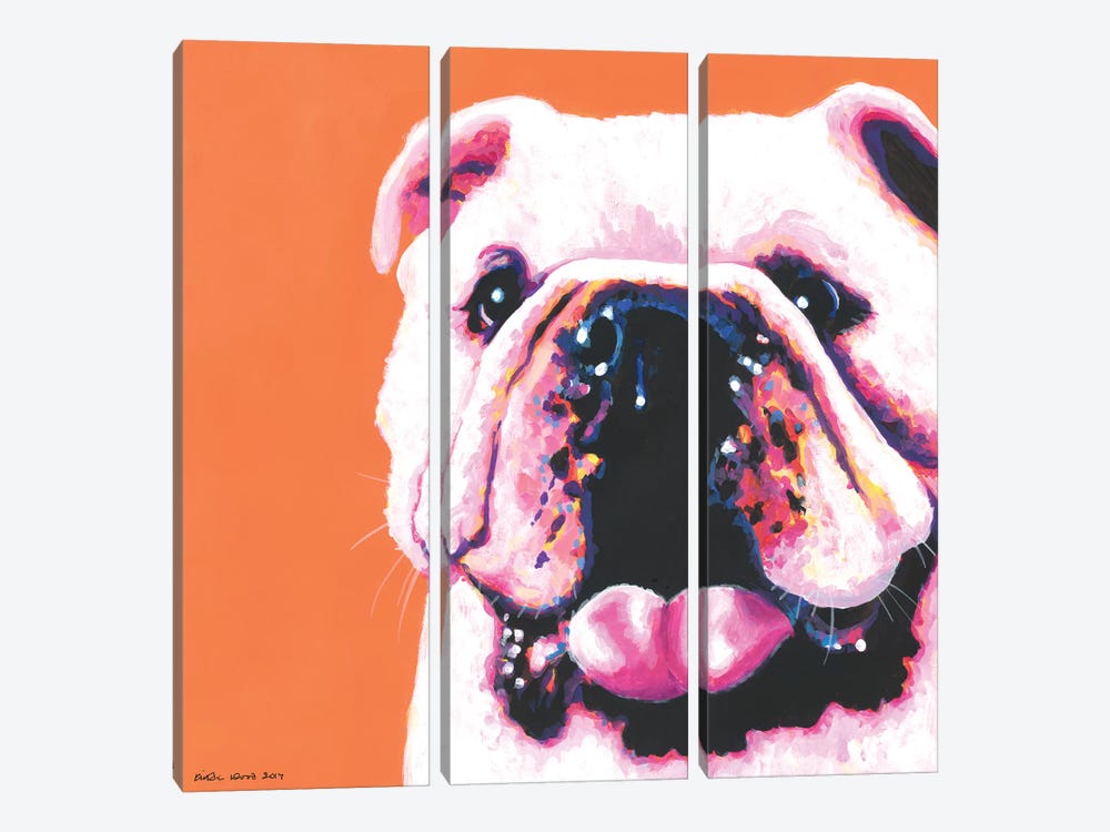 Bulldog On Orange, Square by Kirstin Wood 3-piece Canvas Artwork