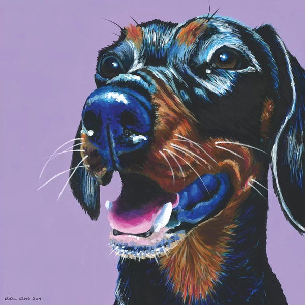 Dachshunds: Dachshund On Lilac, Square by Kirstin Wood