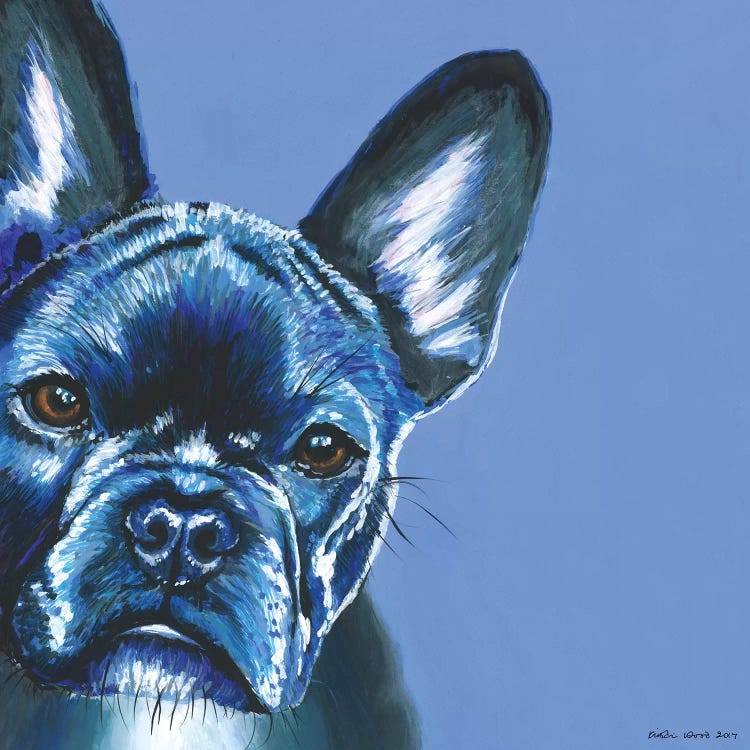 French Bulldog On Blue, Square