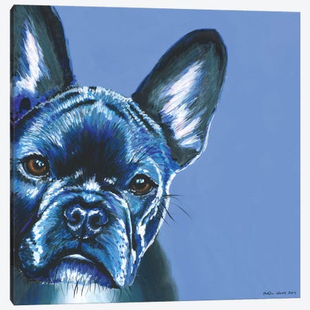French Bulldog On Blue, Square Canvas Print #KWO22} by Kirstin Wood Art Print