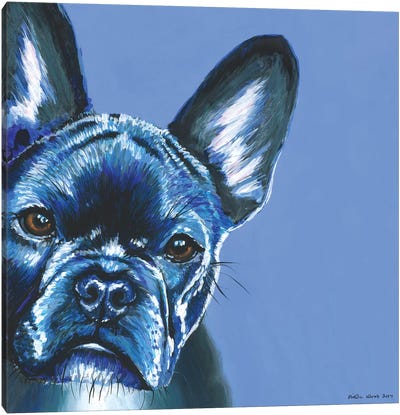 French Bulldog On Blue, Square Canvas Art Print - Kirstin Wood