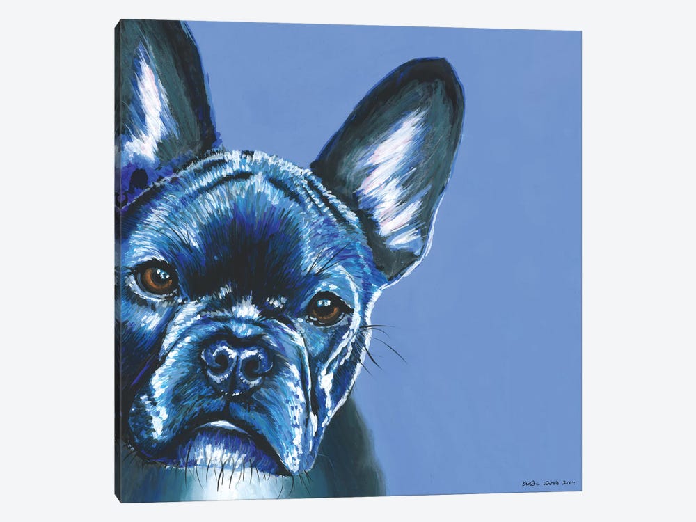French Bulldog On Blue, Square by Kirstin Wood 1-piece Canvas Wall Art