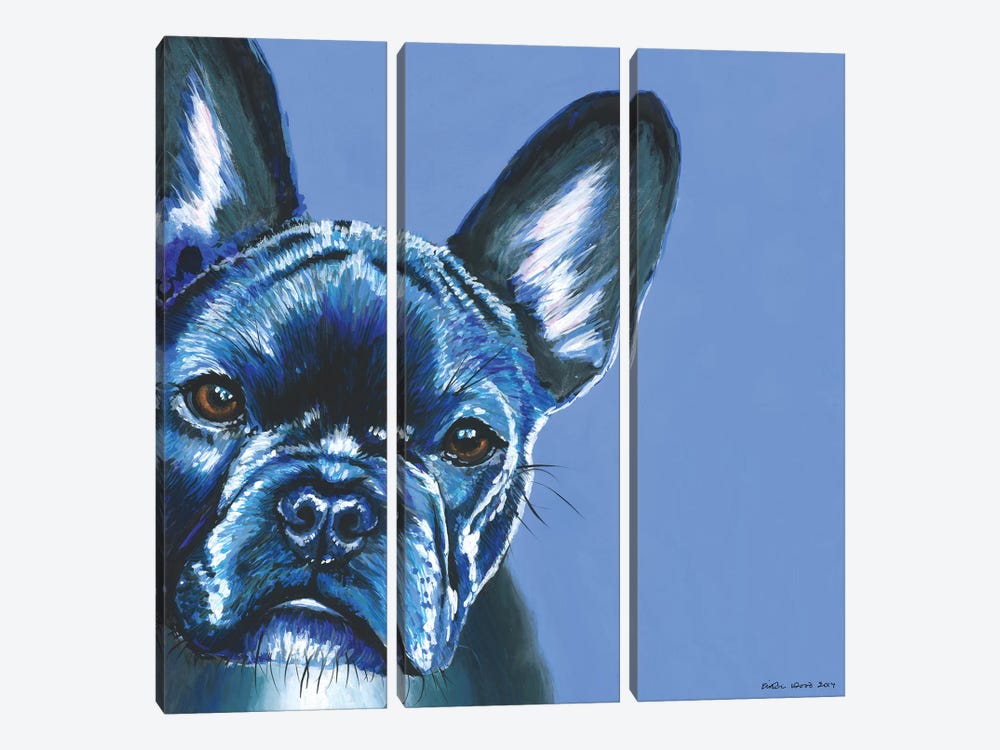 French Bulldog On Blue, Square by Kirstin Wood 3-piece Canvas Art