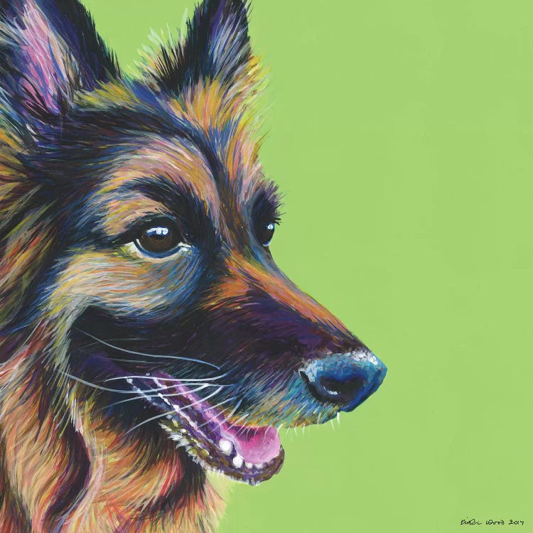 German Shepherd On Lime, Square