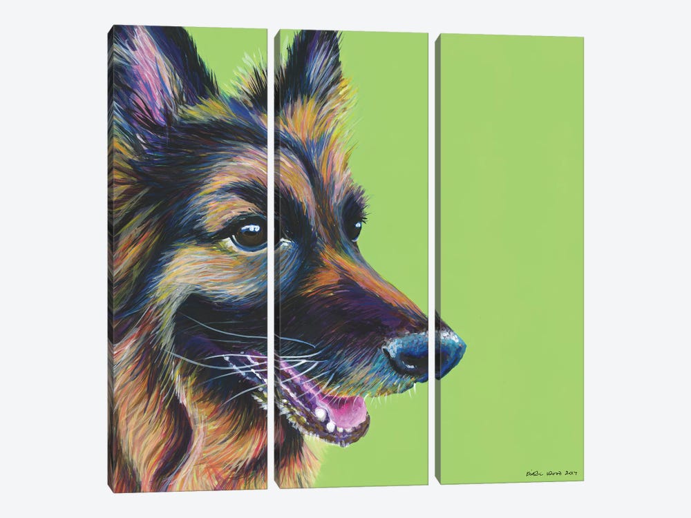 German Shepherd On Lime, Square by Kirstin Wood 3-piece Canvas Print