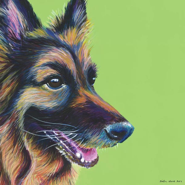 German Shepherds: German Shepherd On Lime, Square by Kirstin Wood