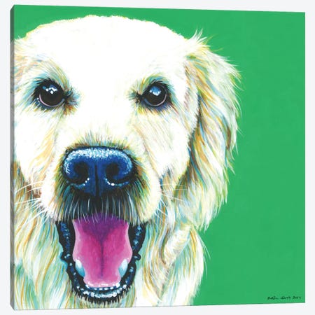 Golden Retriever On Emerald, Square Canvas Print #KWO24} by Kirstin Wood Canvas Artwork