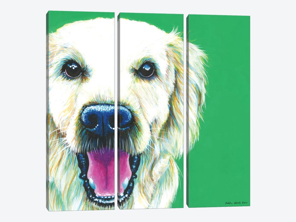 Golden Retriever On Emerald, Square by Kirstin Wood 3-piece Canvas Wall Art