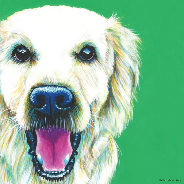Golden Retrievers: Golden Retriever On Emerald, Square by Kirstin Wood