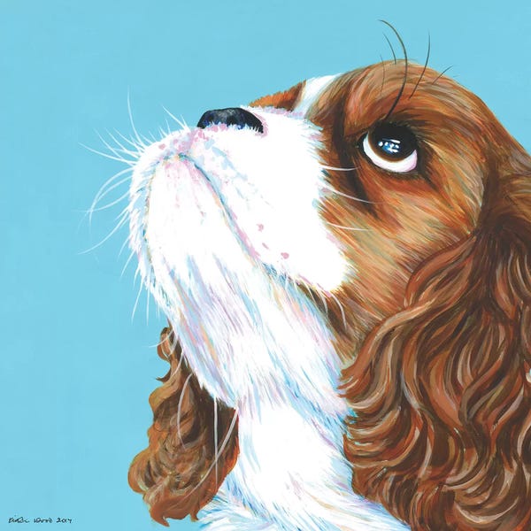 Spaniels: King Charles Cavalier On Aqua, Square by Kirstin Wood