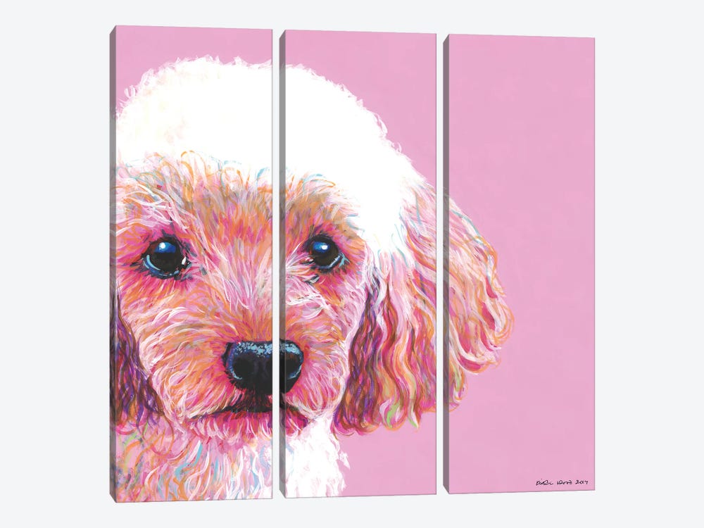 Poodle On Pink, Square by Kirstin Wood 3-piece Canvas Art Print