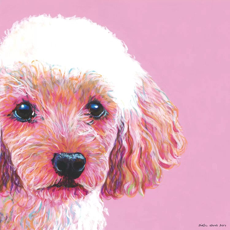 Poodle On Pink, Square