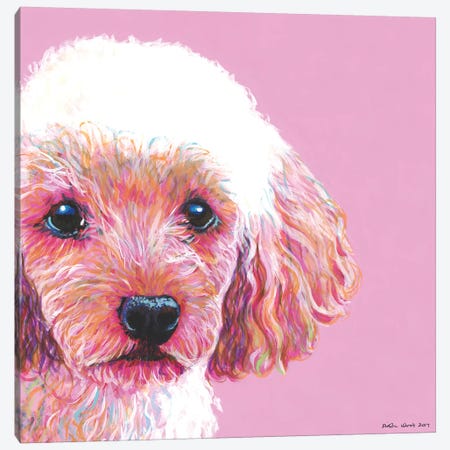 Poodle On Pink, Square Canvas Print #KWO27} by Kirstin Wood Canvas Wall Art