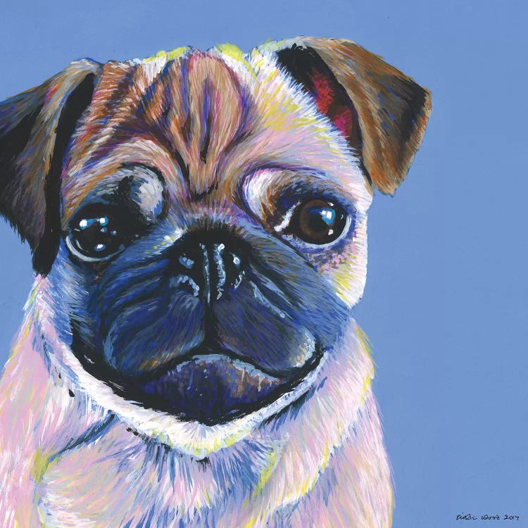 Pug On Blue, Square