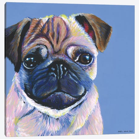 Pug On Blue, Square Canvas Print #KWO28} by Kirstin Wood Art Print