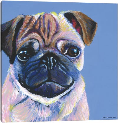Pug On Blue, Square Canvas Art Print - Pug Art