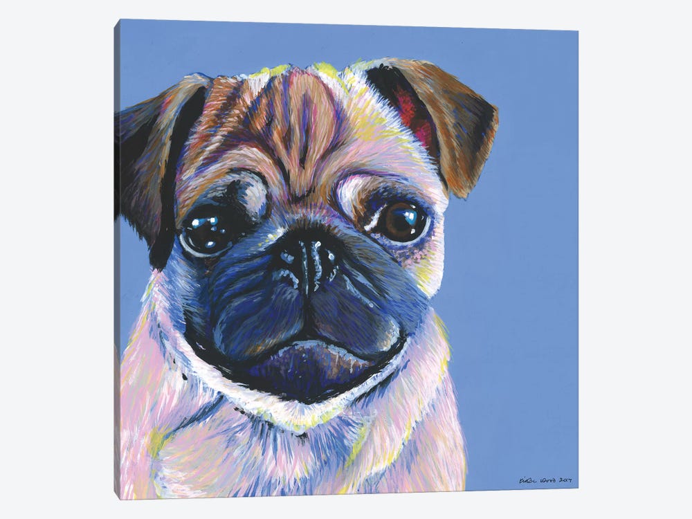 Pug On Blue, Square by Kirstin Wood 1-piece Canvas Art