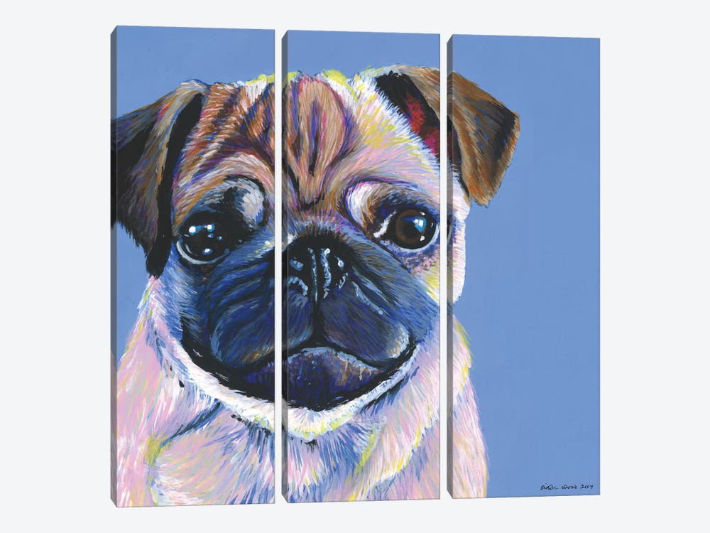 Pug On Blue, Square by Kirstin Wood 3-piece Canvas Art
