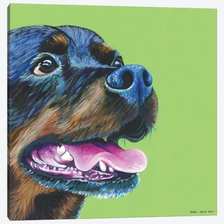 Rottweiller On Lime, Square Canvas Print #KWO29} by Kirstin Wood Art Print
