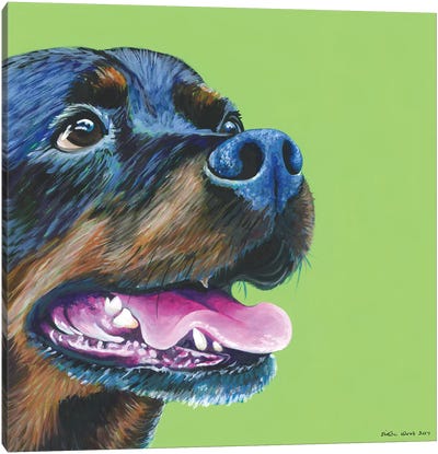 Rottweiller On Lime, Square Canvas Art Print - Rottweiler Art