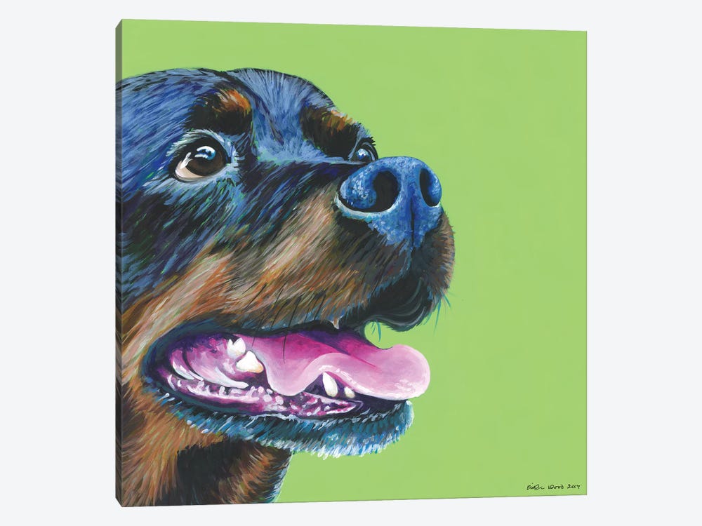 Rottweiller On Lime, Square by Kirstin Wood 1-piece Canvas Print