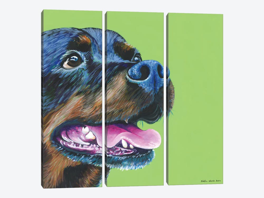 Rottweiller On Lime, Square by Kirstin Wood 3-piece Canvas Art Print