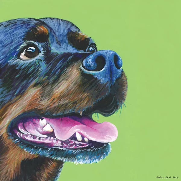 Rottweilers: Rottweiller On Lime, Square by Kirstin Wood