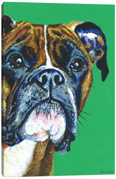 Boxer On Emerald Canvas Art Print - Kirstin Wood