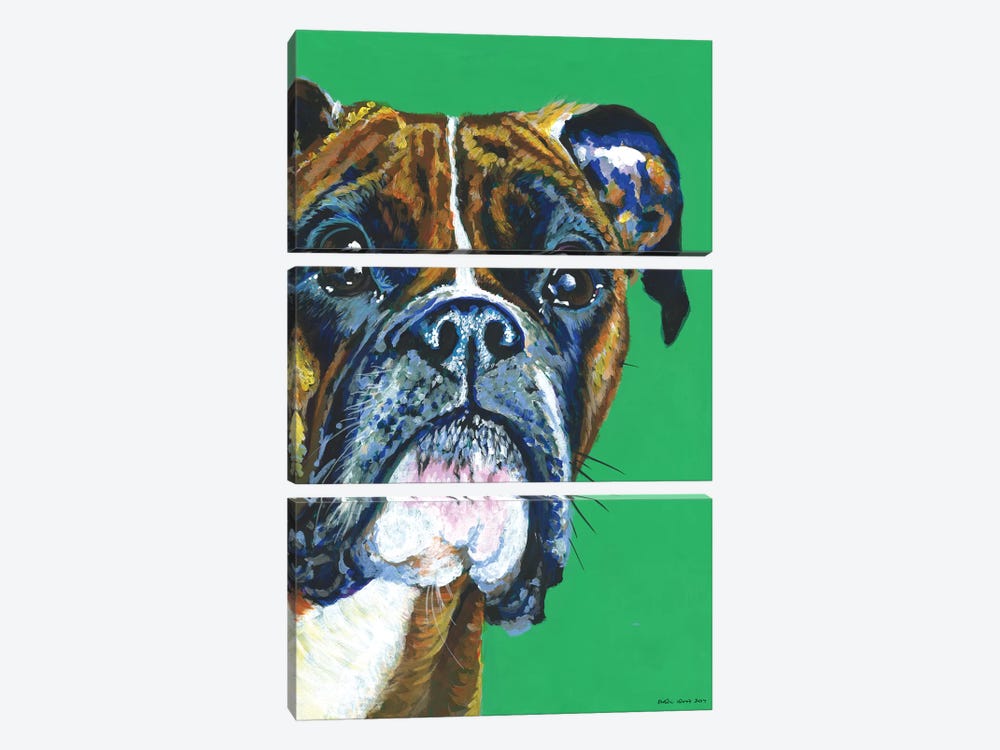 Boxer On Emerald by Kirstin Wood 3-piece Canvas Print